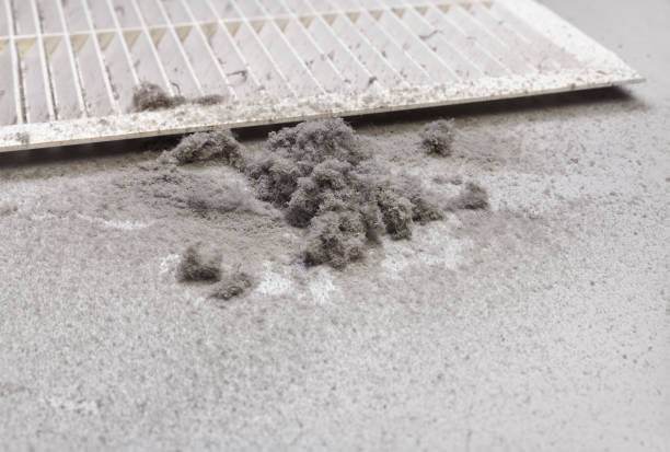 Best Commercial Air Duct Cleaning  in Westernport, MD