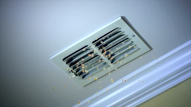  Westernport, MD Airduct Cleaning Pros