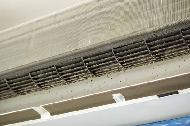 Best HVAC Air Duct Cleaning  in Westernport, MD