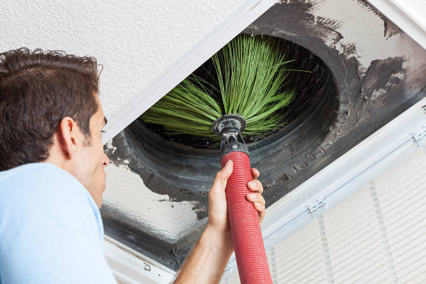 Best Air Duct Cleaning Near Me  in Westernport, MD